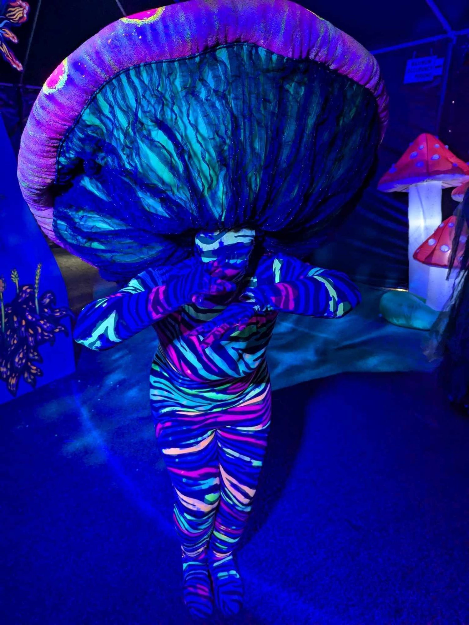 Alice's Dream immersive theater production, corporate party, alice in wonderland, event