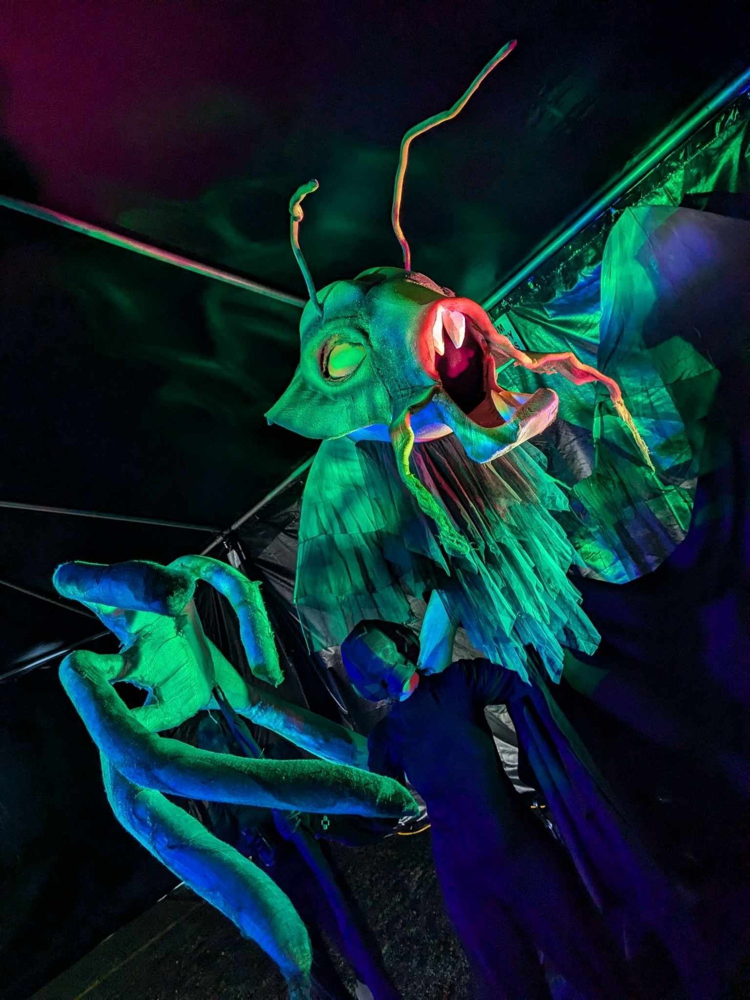 Alice's Dream immersive theater production, corporate party, alice in wonderland, event