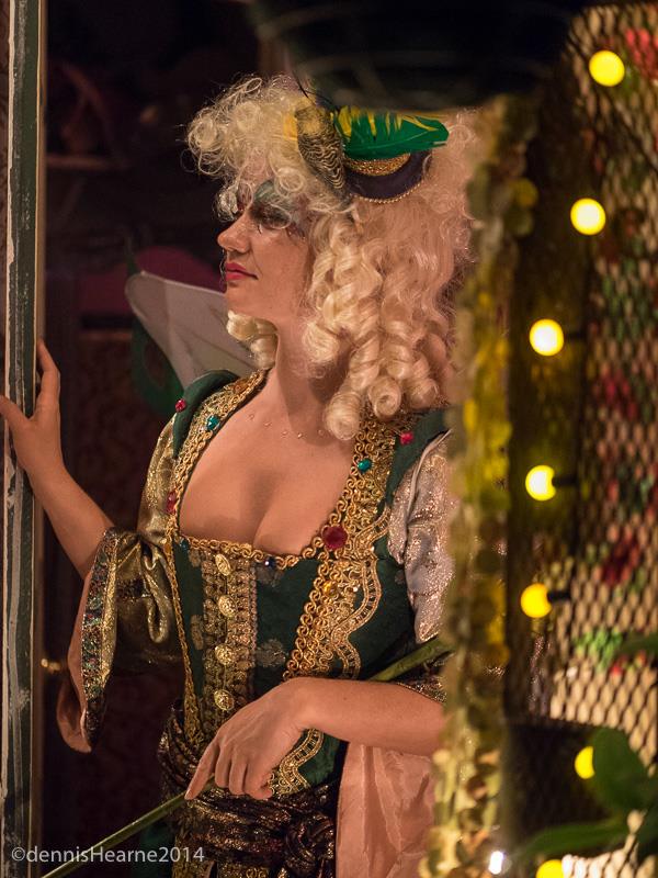 Fairy Salon Westerfeld