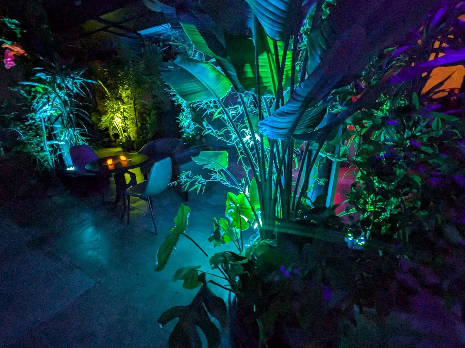 Mana Society at Hibernia Bank