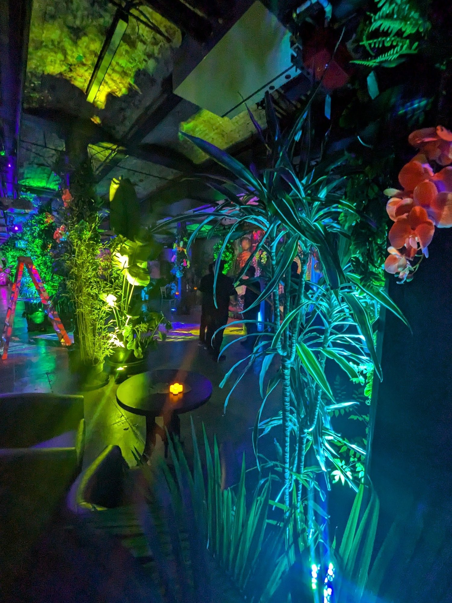 Mana Society at Hibernia Bank